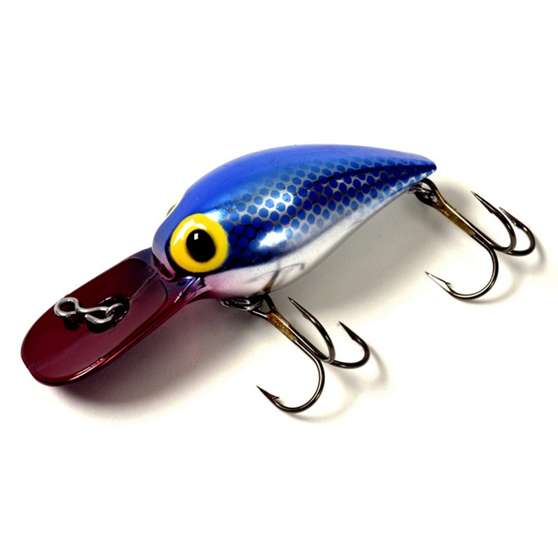 Brad's Wee Wigglers