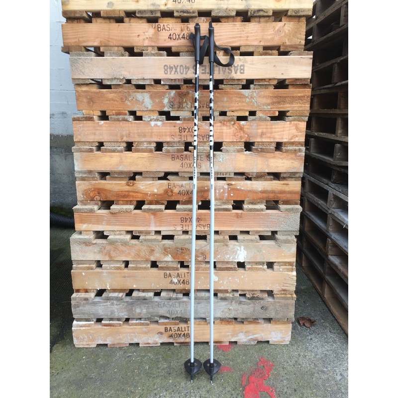 Rossignol Nordic Classic Pole Rental