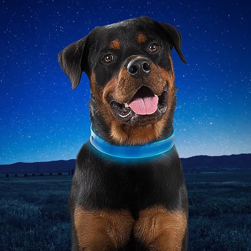 Nite-Ize NiteDog Rechargeable Water-Resistant LED Dog Collar