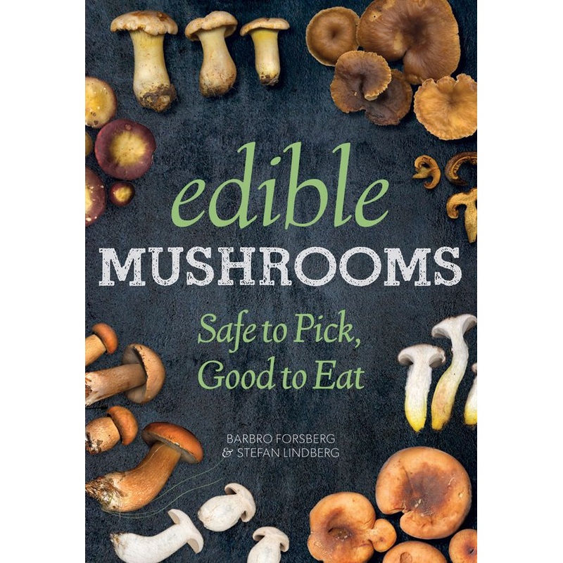 Edible Mushrooms: Safe To Pick, Good To Eat