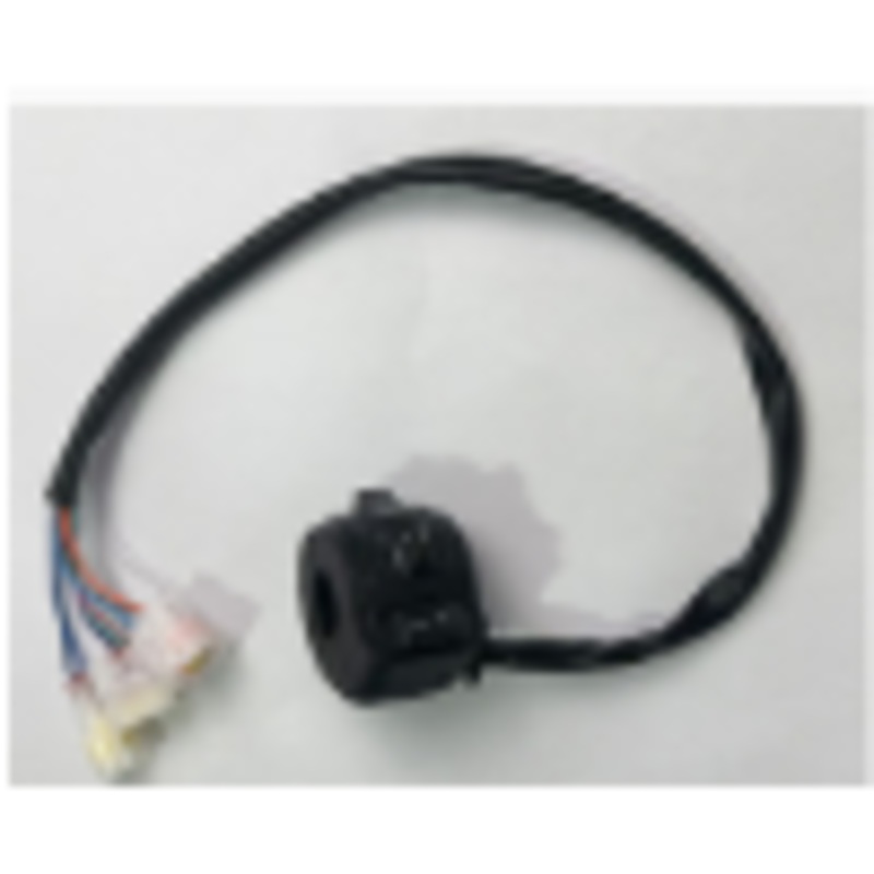 Handlebar Control Switch SS 3.0