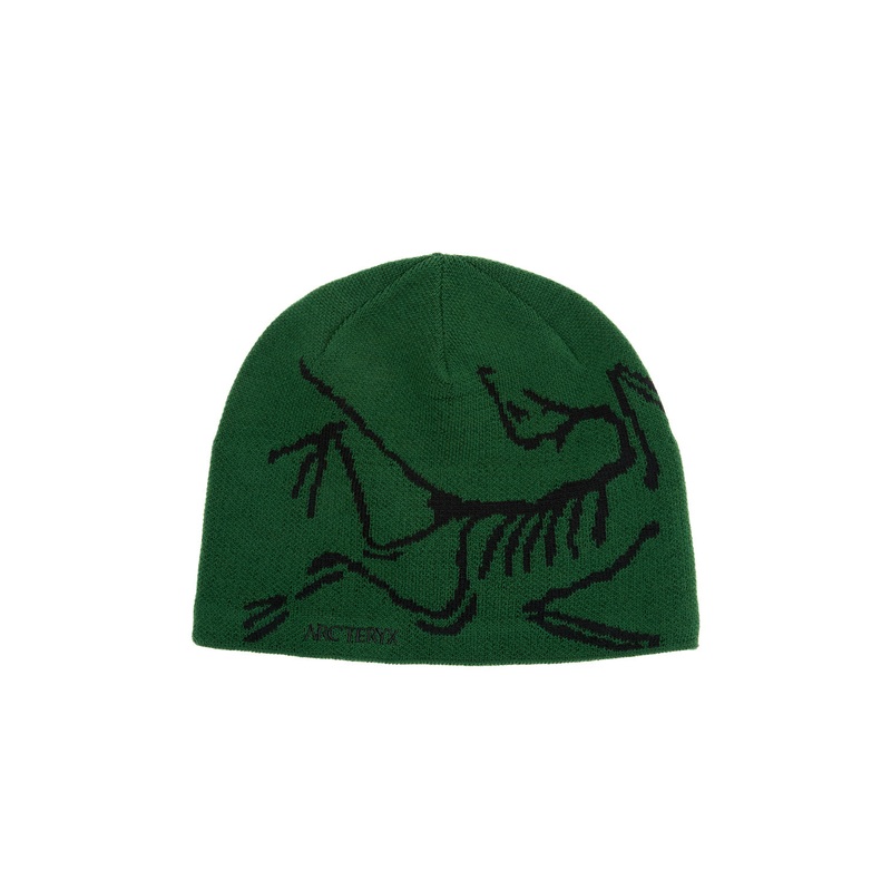 Arc'teryx Bird Head Toque - Eden / Black