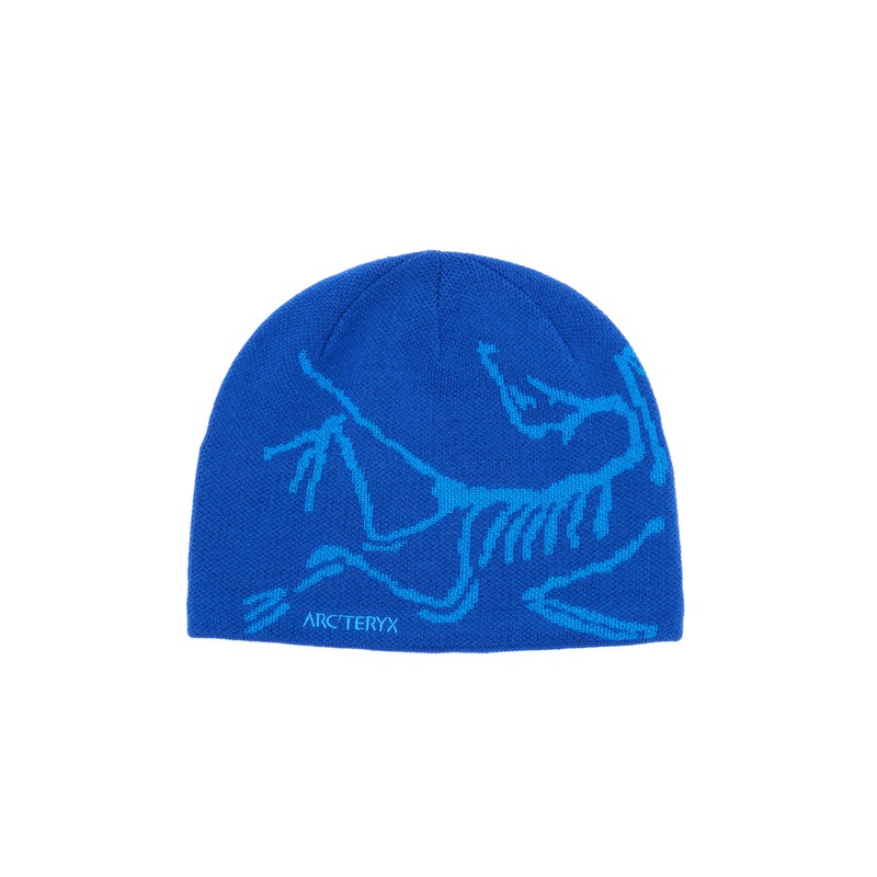 Arc'teryx Bird Head Toque - Vitality / Fluidity