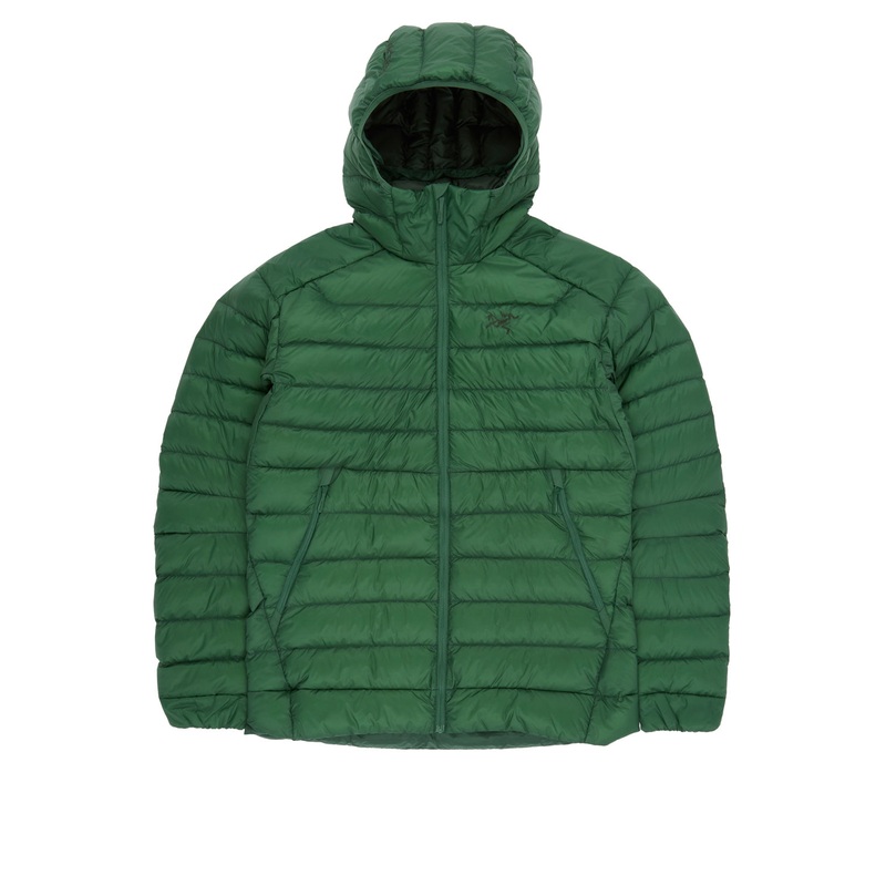 Arc'teryx Men's Cerium Hoody - Eden