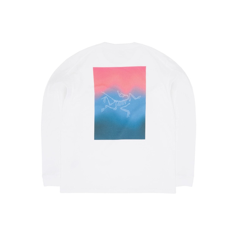 Arc'teryx Men's Kragg Cotton Heatmap Long Sleeve T Shirt - White Light / Multi