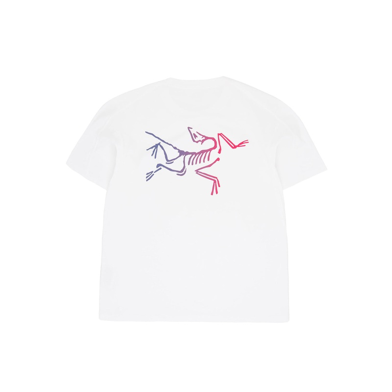 Arc'teryx Men's Kragg Cotton Logo Short Sleeve T Shirt - White Light / Multi
