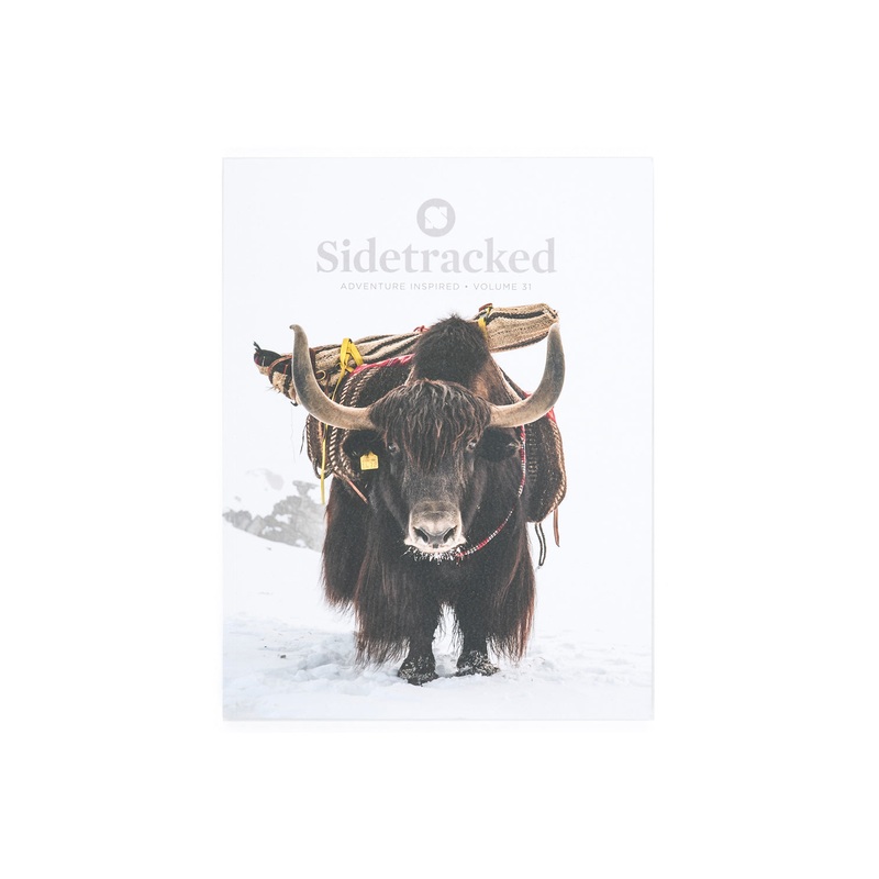 Sidetracked Magazine 31