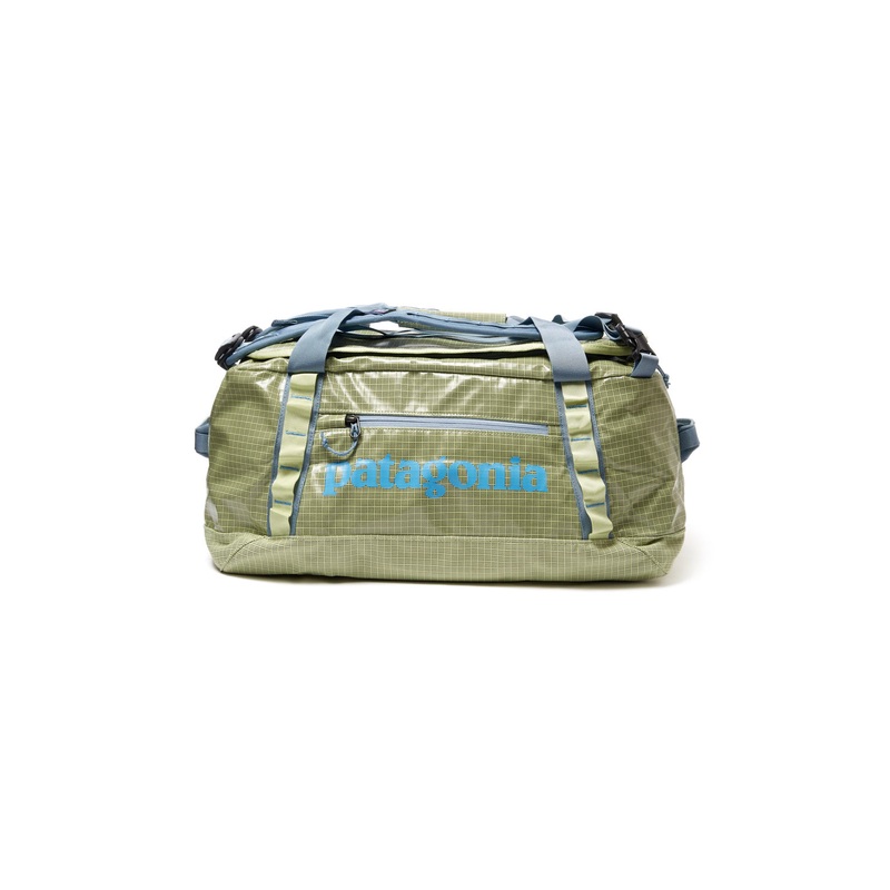 Patagonia Black Hole Duffel 40L - Friend Green
