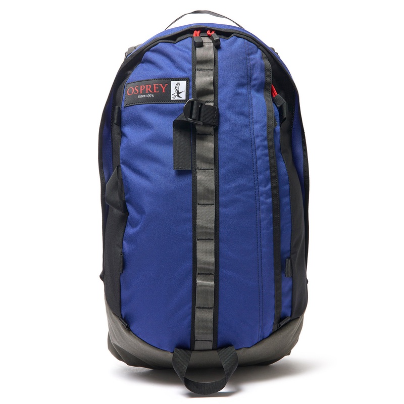 Osprey Simplex 20 Backpack - Blueberry